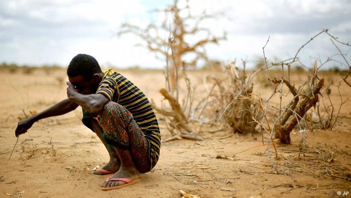 UN aid agencies ramp up response amid worst southern African drought in decades