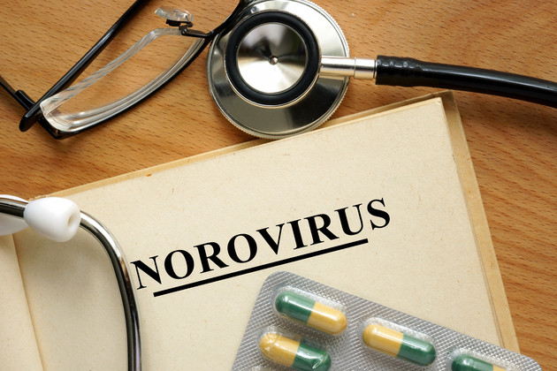 Travel law: Norovirus allegedly contracted at Opryland