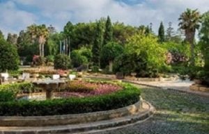 Corintha Palace Hotel Malta garden 1