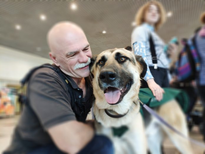 Airline passengers enjoy canine therapy sessions at Moscow Domodedovo Airport