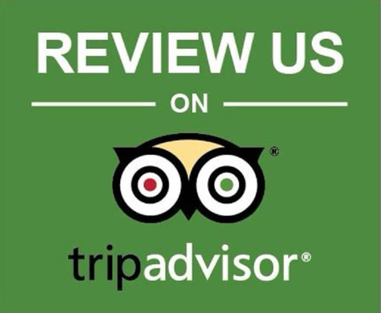 review us please 1