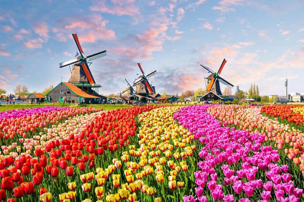 What to expect when traveling to Holland?