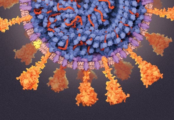 New dangerous COVID-P1 virus in Brazil, Panama, Cape Verde, Portugal, Japan