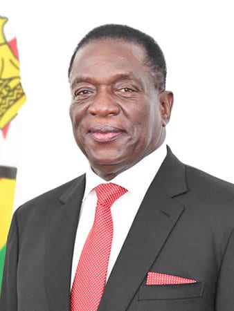 Emmerson Mnangagwa Official Portrait cropped