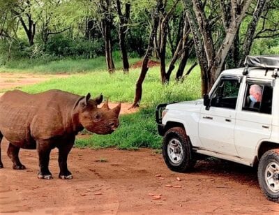 US Ambassador has close encounter with rhino at Mkomazi National Park