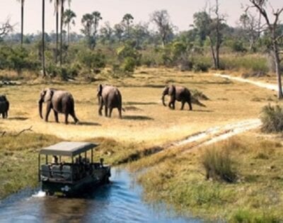 Uganda Tourism agencies merge in latest government spin