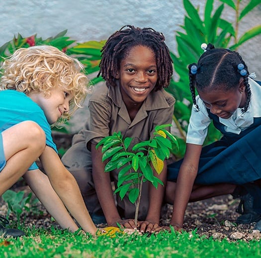 Sandals Resorts embarks on 10,000-tree sustainability mission