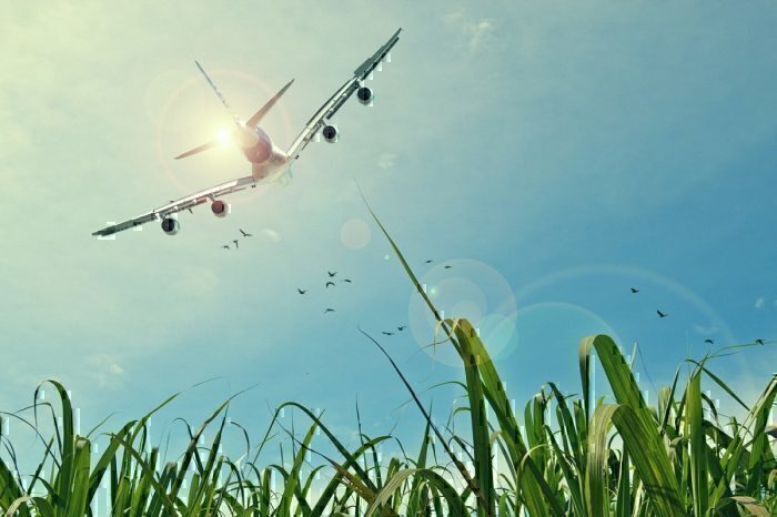 IATA: Tax is Not the Answer to Aviation Sustainability
