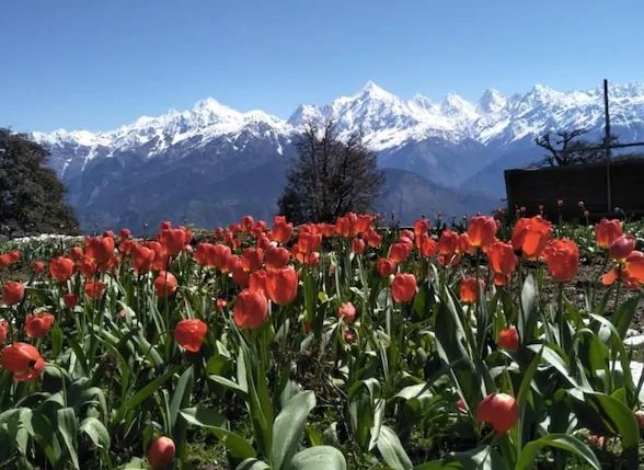 13 Projects for 13 Districts to Save Himalayan Tourism