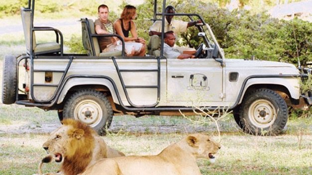 Survival of African big cats:  Wildlife and tourism experts worried