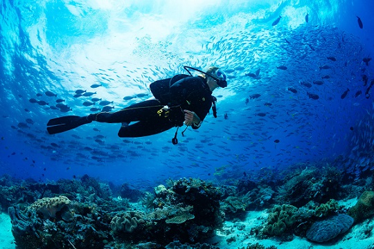 Top Wreck Dive Sites in Australia