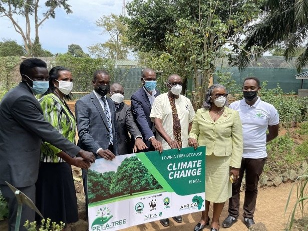 How “Pet a Tree” Climate Change Initiative Will Help Uganda Tourism